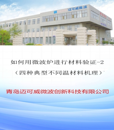 81 如何用微波炉进行材料验证2（四种典型不同温材料机理）